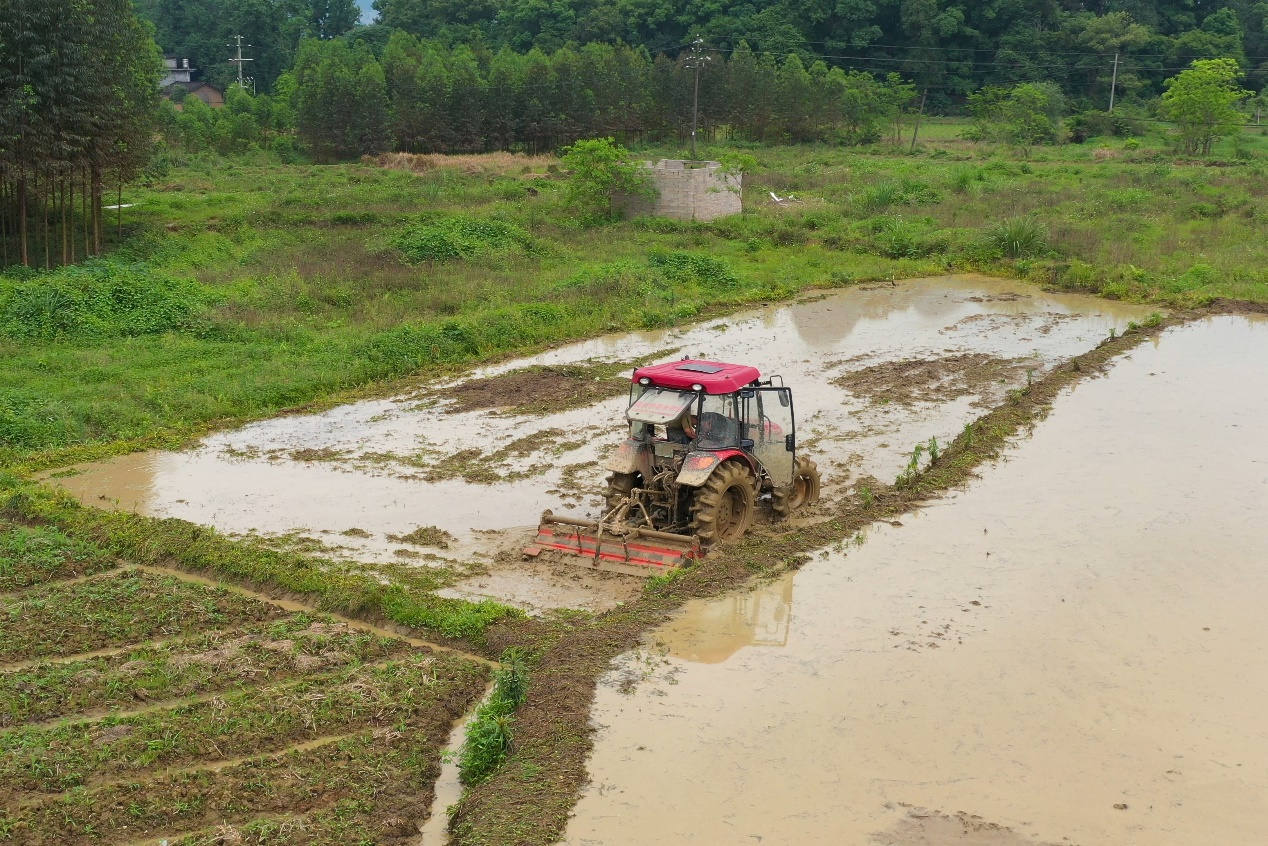 广西昭平：万象“耕”新正当时_fororder_图片3