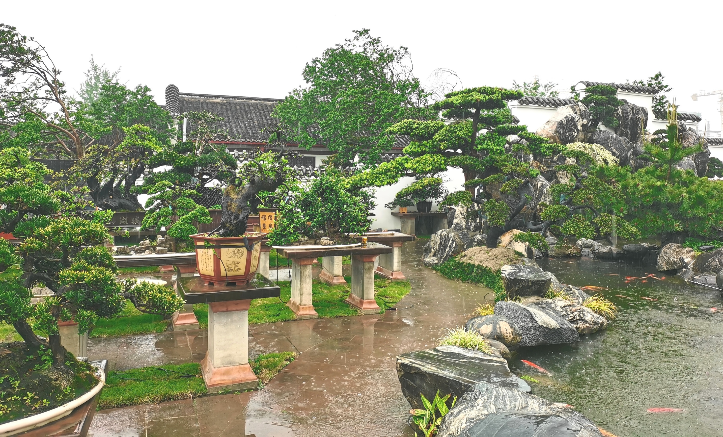 成都世园会探园 | 温江分会场：闻花香、观盆景、吃火锅 感受高品质园林生态生活_fororder_盆景艺术馆一角