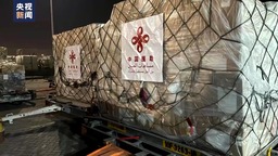 緩解嚴峻人道局勢 中國政府兩批援助加沙物資已運抵埃及_fororder_94c56c3bc1d44fbbacaaf4800003e49a