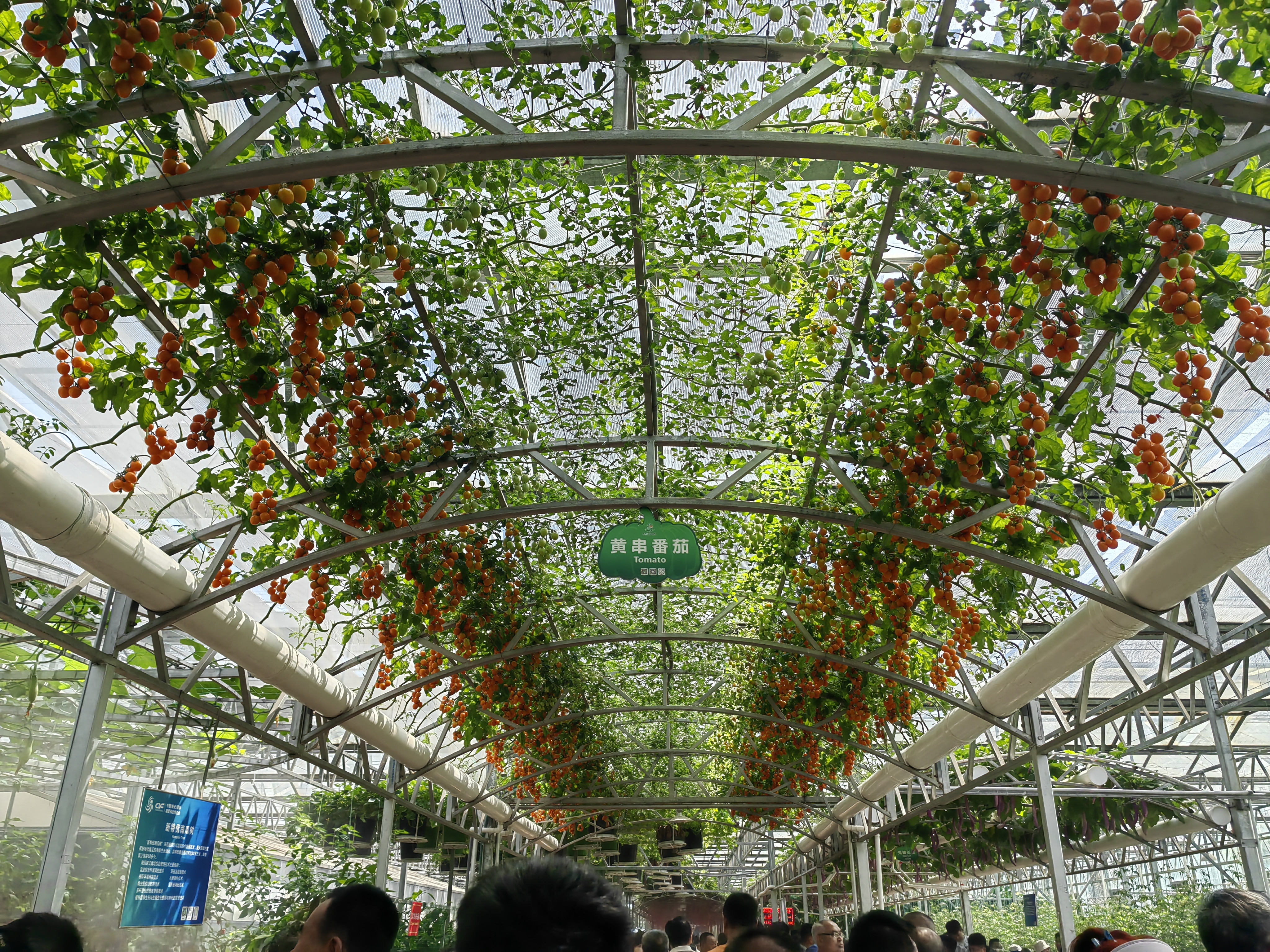 1_fororder_08f6ebbc093ac2501cb1180dfb98df6