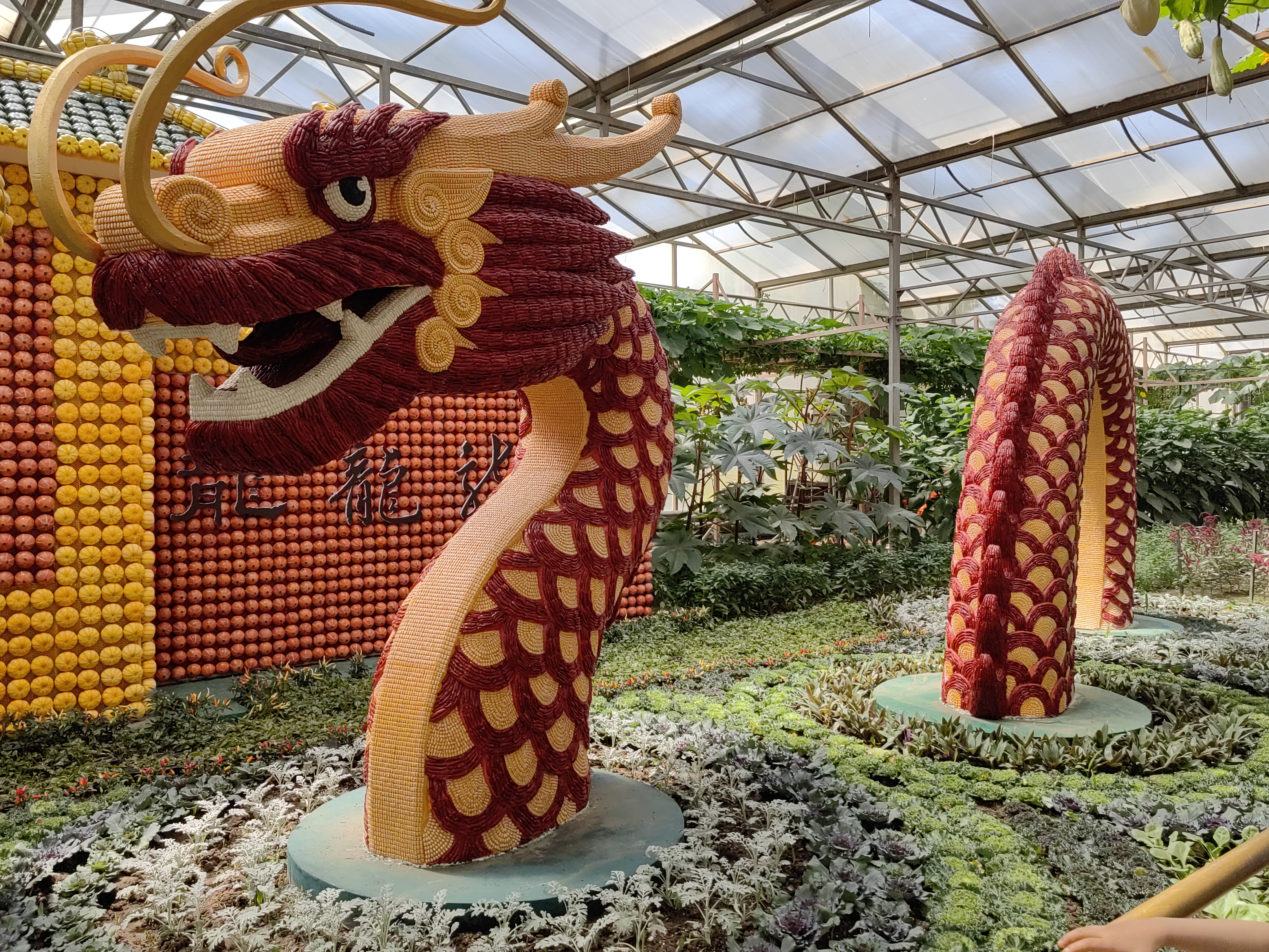 1_fororder_f1025aab3746e3fc820581180fc8034