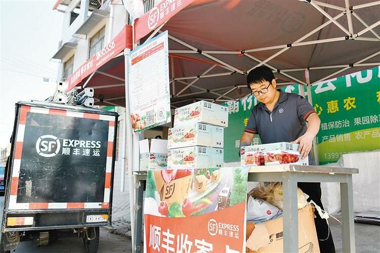 甜蜜樱桃挂满枝 铺就红火致富路_fororder_微信图片_20240520114443