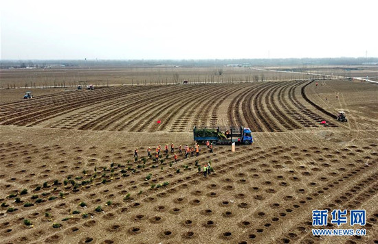 图片默认标题_fororder_541n_副本（6