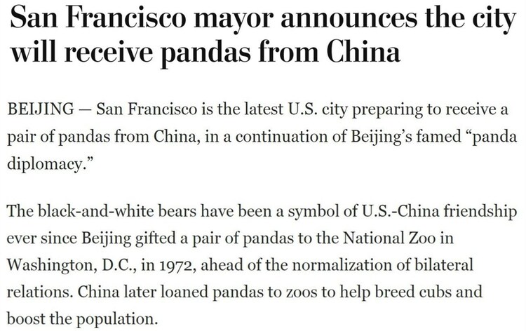 “‘可爱圆滚滚’要在我们的城市安家啦！”