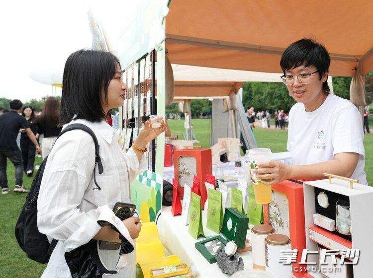 組圖丨梔子花香飄橘子洲_fororder_5