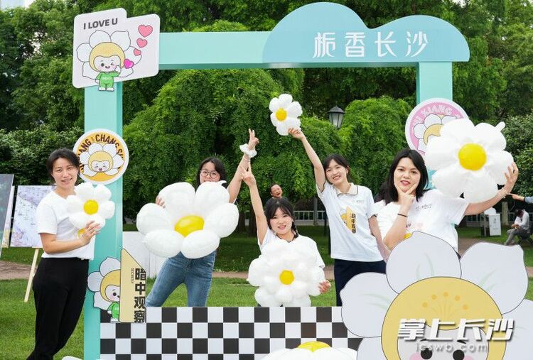 組圖丨梔子花香飄橘子洲_fororder_10