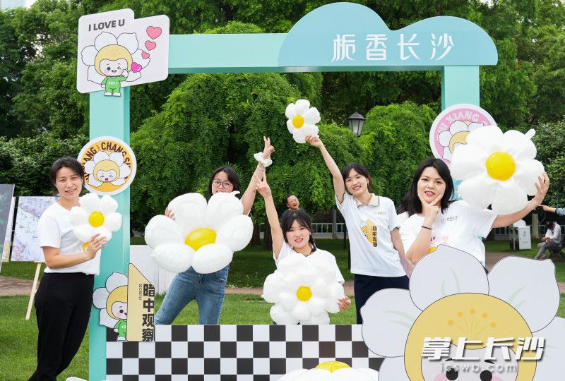 組圖丨梔子花香飄橘子洲_fororder_10