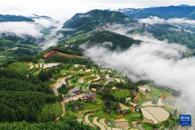 贵州黎平：梯田新雨后 美景入画来