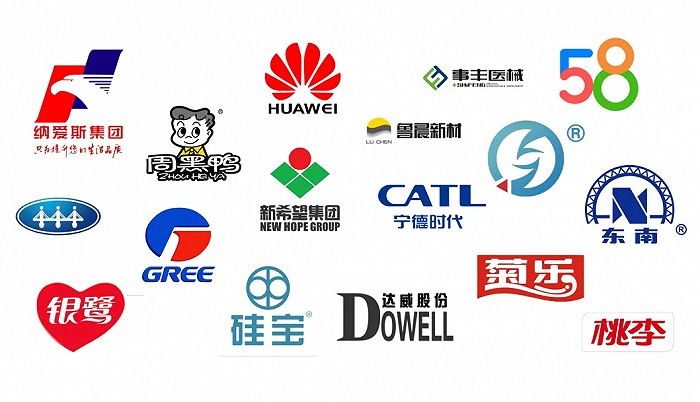 民营经济春风劲|中国民营经济摇篮的新津密码