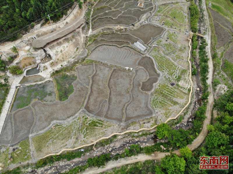 超150米稻草巨龙惊现尤溪 破吉尼斯世界纪录