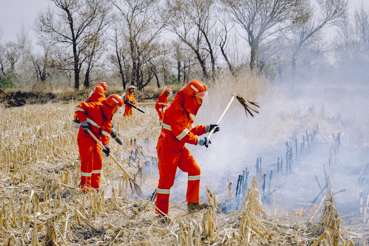 內蒙古鄂爾多斯市：築牢森林草原防火“安全墻” 全力守護綠水青山“生命線”