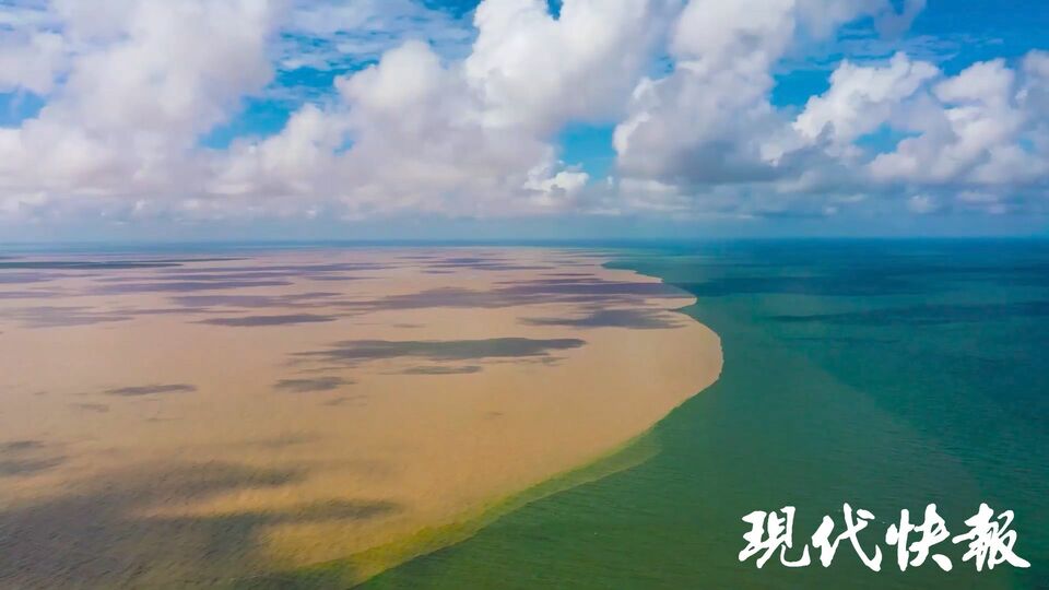 和谐共生｜解码“地球之肾”，中国湿地何以美出圈？