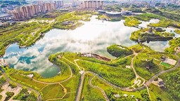 重慶墊江： 濕地公園秀美如畫