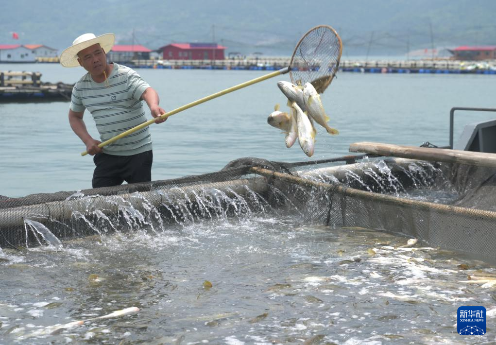 福建：耕海牧渔 建设“海上粮仓”