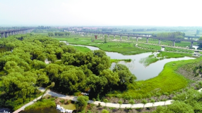 北京：211公頃多樣濕地凈化永定河來水