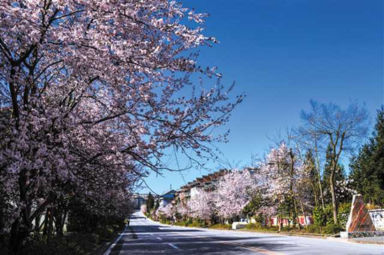 圖片默認標題_fororder_2019-10-31-016-245694-2