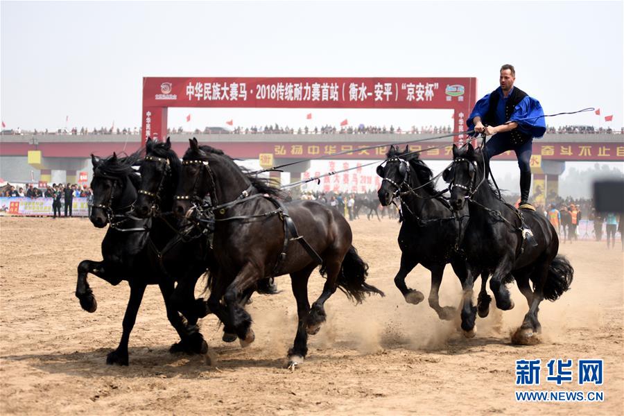 中华民族大赛马2018传统耐力赛在河北开赛