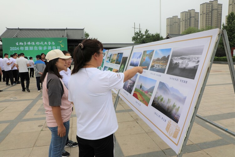 河北涞水：保护生物多样性 共同守护绿色家园_fororder_图为群众在国际生物多样性日摄影作品展板前驻足观看。（徐梓钰 摄）.JPG