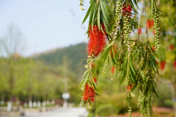 贵州黔南经济学院:加强五个“建设” 以文化人、以美育人_fororder_1