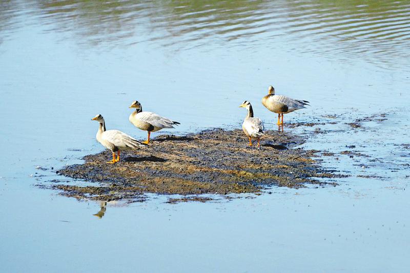 （转载）四川生物多样性“家底”丰厚_fororder_fc40c246807fc472318c731a3d030e68