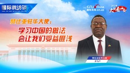 【大使は両会を見る】ザンビア駐中国大使：中国のやり方を学ぶことは私たちに大きな利益をもたらす