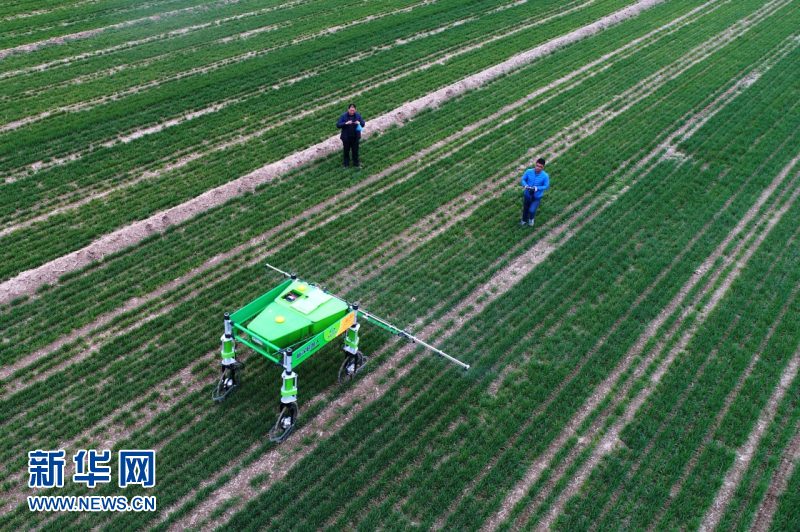 希望田野上的职业农民