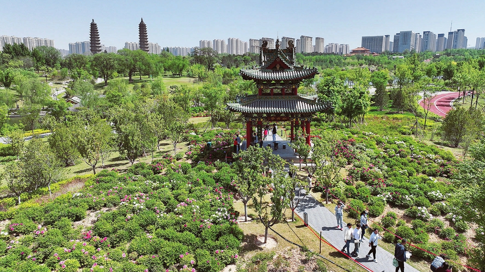 太原双塔公园：牡丹映双塔_fororder_ed8f8ba5b14dde950dd675cb4f4b1420