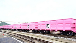 166辆湖南“粉红车”发往澳大利亚