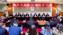 湖北籍作家向陽長篇小説創作研討會在武漢舉行