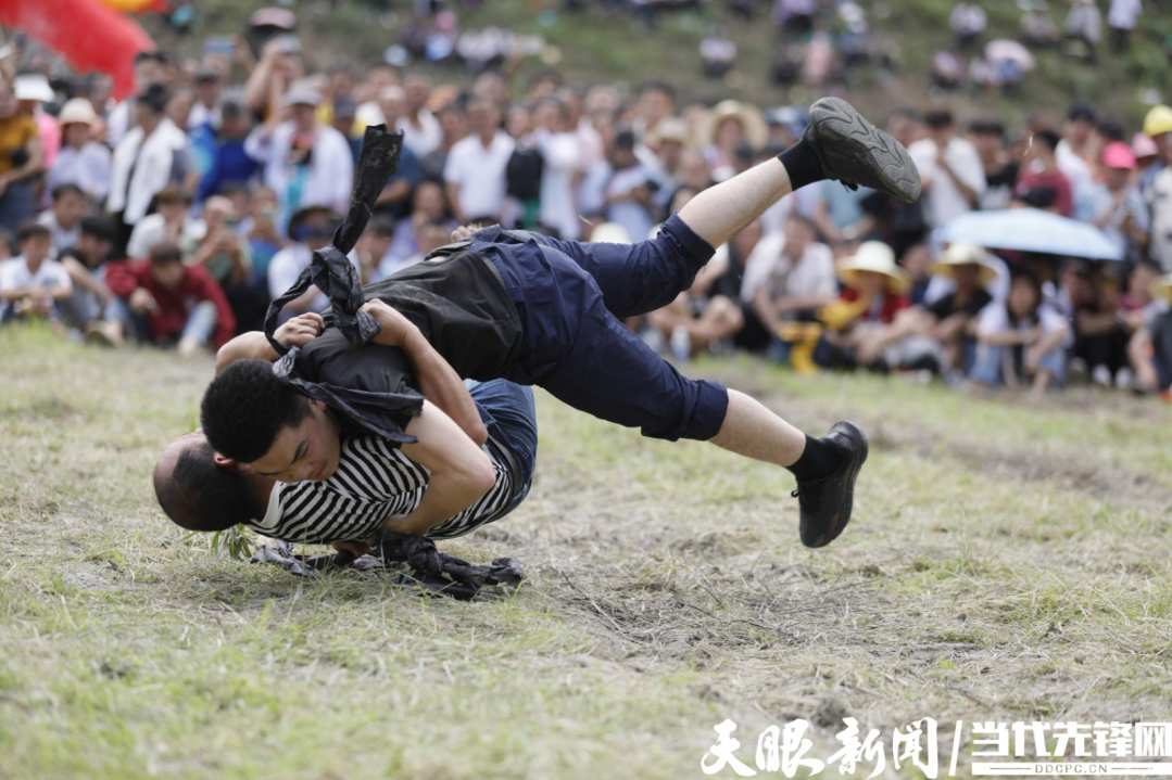 黎平“摔跤节：节日里盛开的民族团结之花