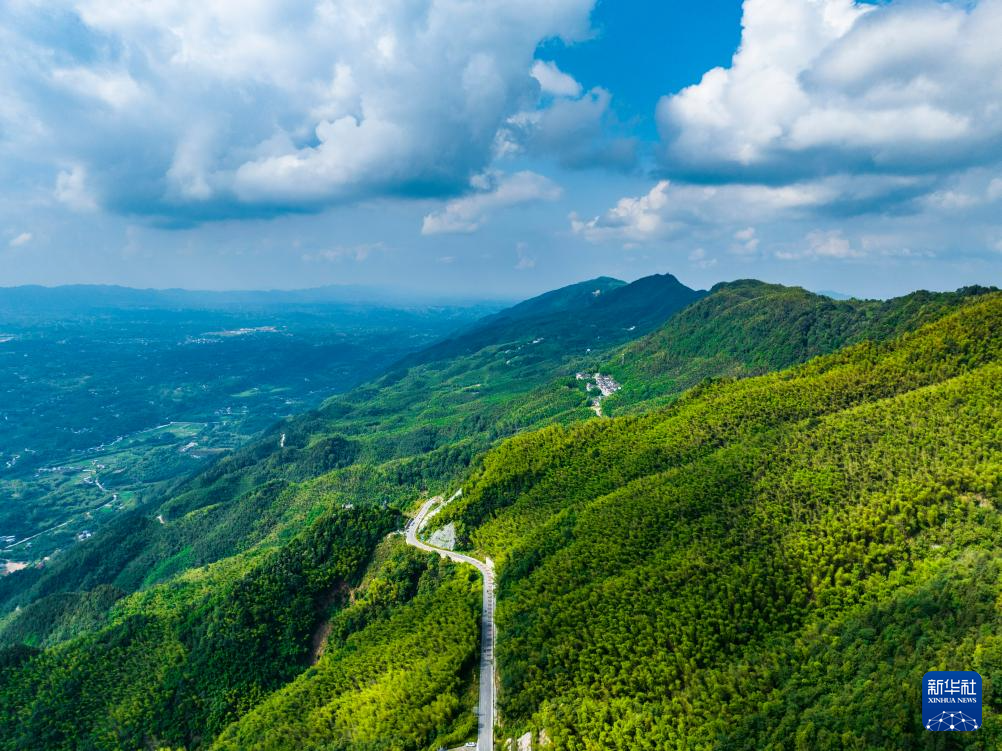 重庆：茶山竹海风光旖旎