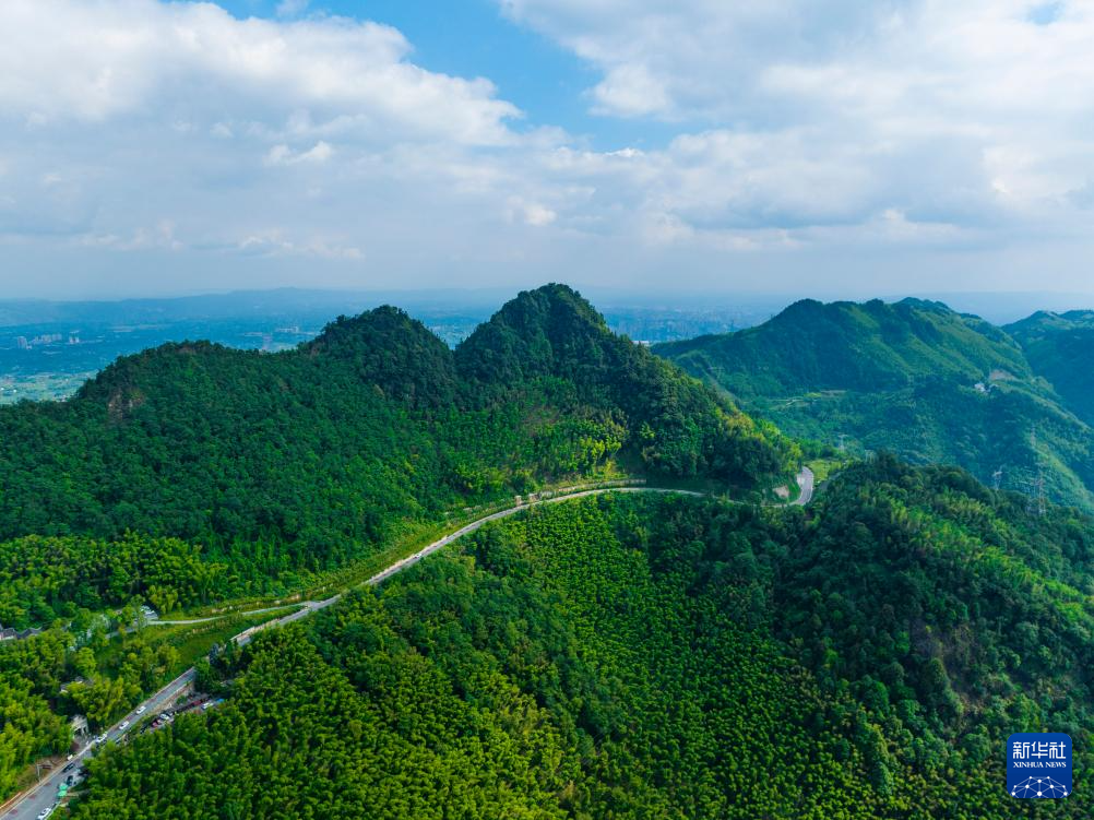 重庆：茶山竹海风光旖旎