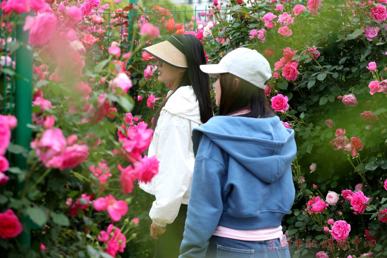 浙江东阳：浪漫花海引客赏_fororder_1714119611141_662b63bb233d093b9d001804