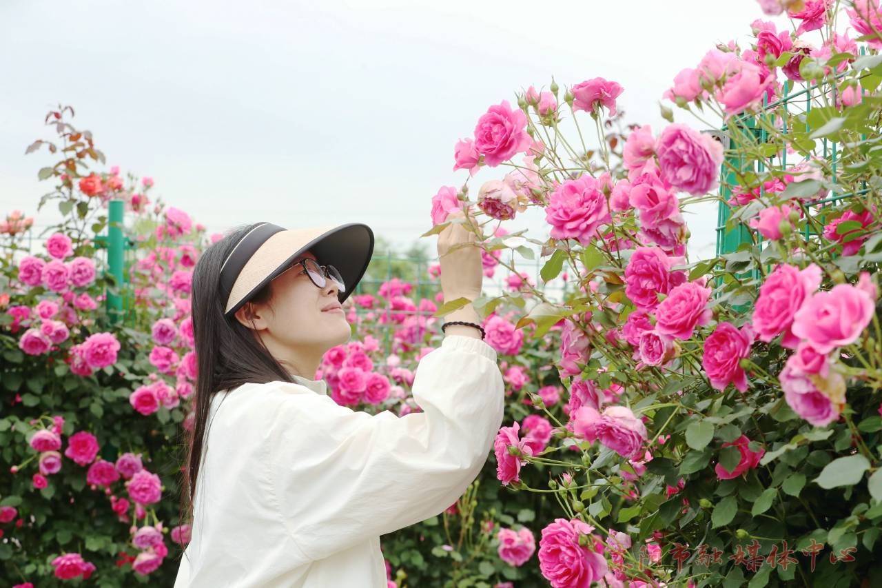 浙江东阳：浪漫花海引客赏_fororder_1714119613378_662b63bd233d093b9d001808