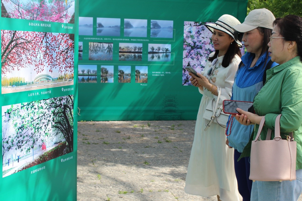 河北滄州：古運河畔“運河四季之春光好”圖片展開展_fororder_圖片1