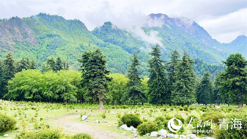 青海：雨后群加景如畫(huà)