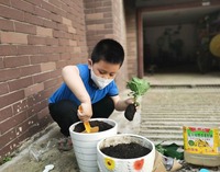 瀋陽珠江五校開展“遇見種子、收穫成長”科學種植項目化學習成果展示活動