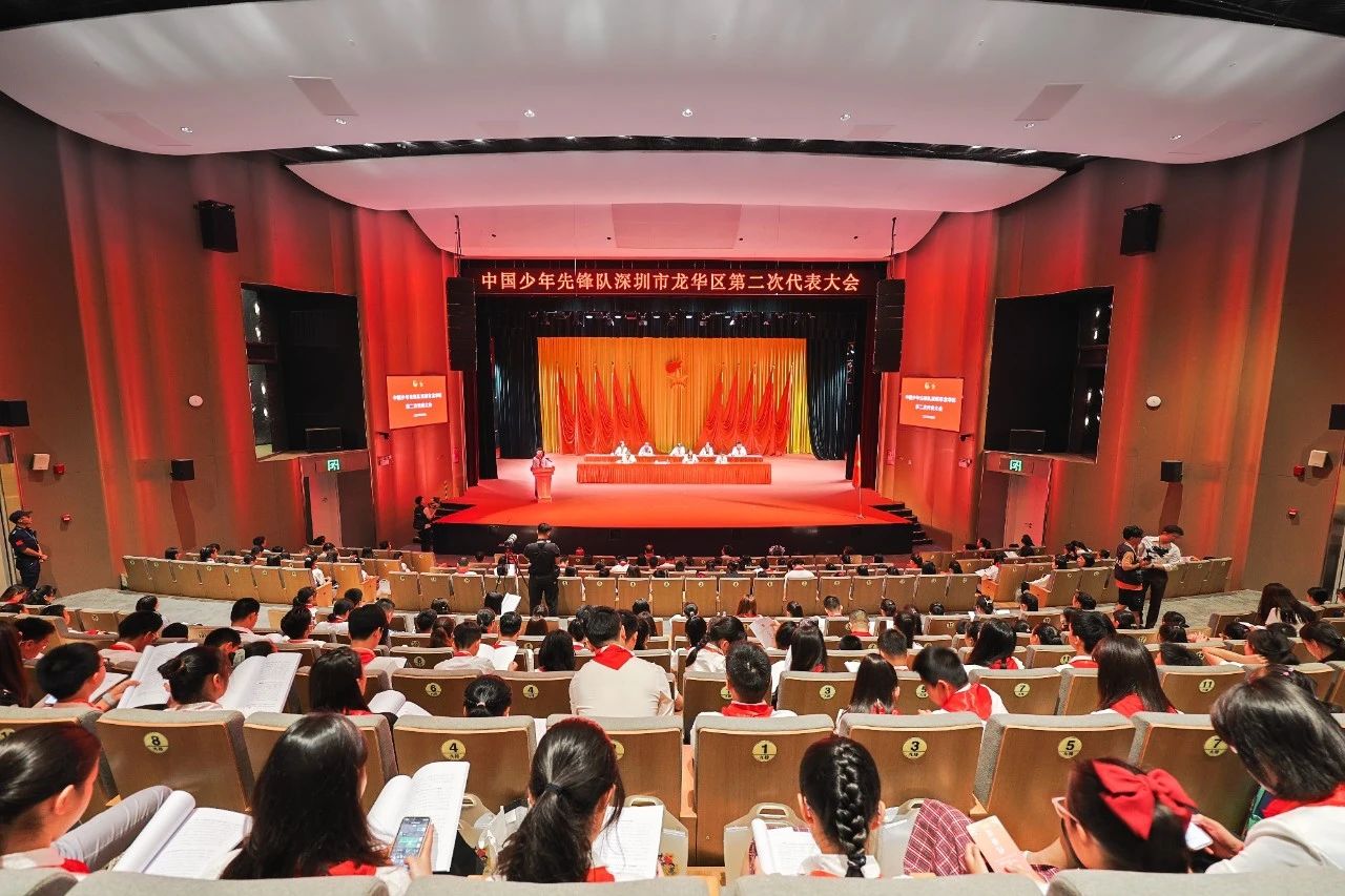 高举队旗跟党走，童心筑梦向未来！中国少年先锋队深圳市龙华区第二次代表大会胜利召开_fororder_101
