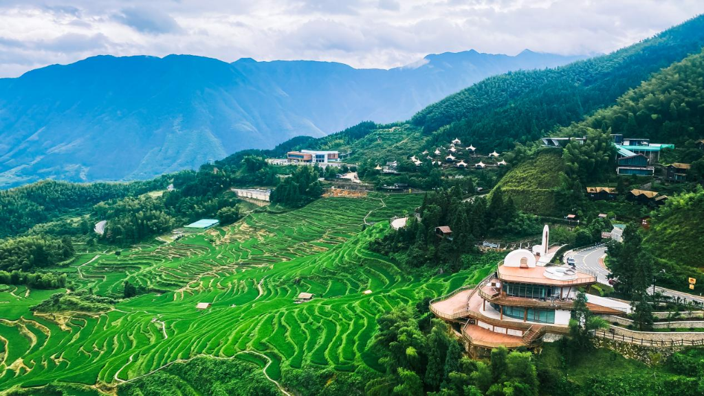 成功跻身国家“5A”，浙江云和梯田底气何在？