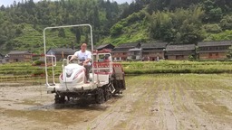 贵州黎平：抢抓农时 插下早稻“第一秧”
