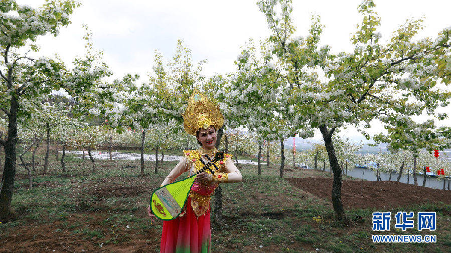 以花會友 第三屆高原梨花旅遊節在甘肅臨夏和政開幕