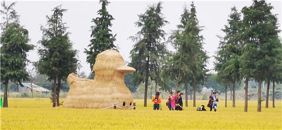 (供稿 食品列表 三吴大地苏州 移动版)太湖良禾稻米节开启童玩文创主题活动