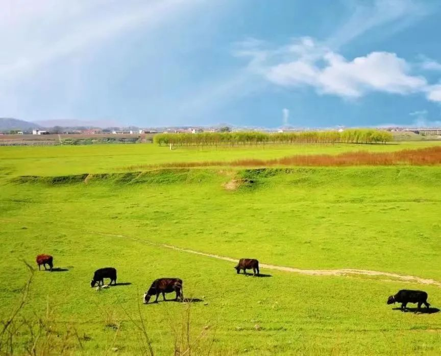 “五一”小長假 衡陽推出六大旅遊線路迎接遊客_fororder_圖片1