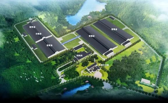 【世界投资·中部热土】｜正大集团：打造“从农场到餐桌”产业链 助力中部农业现代化发展_fororder_图片3