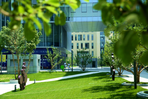 聚焦自主创新，芯创空间走出“全维孵化”第一步