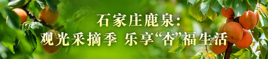 河北：瓜果飘香产业兴 乡村振兴奔头足