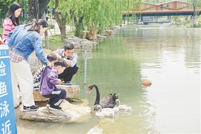 這個五一 我在鄭州玩挺嗨