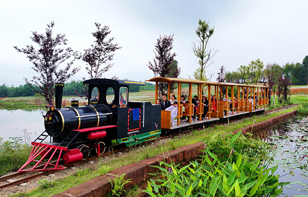 眉山仁寿：“五一”小长假近郊游火热_fororder_游客体验坐火车