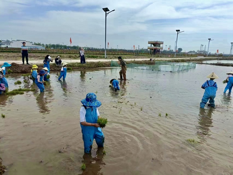 天津市津南区小站镇：“五一”小长假 研学游掀热潮_fororder_5