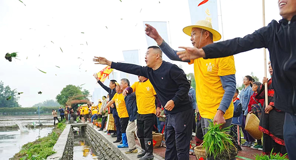 第九届成都“开秧门”农耕文化节在温江区举行_fororder_抛秧现场-供图-成都市温江区委宣传部
